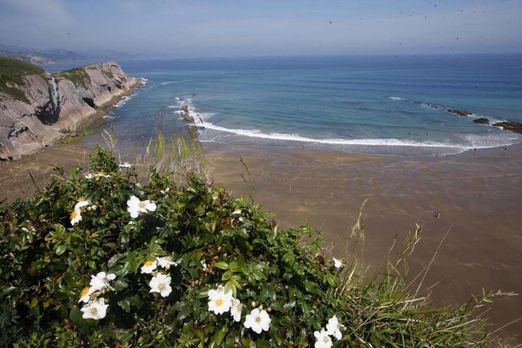 2 Habit, Sala, Terraza, Jardin, Parking Gratis Apartment Zumaia Exterior photo